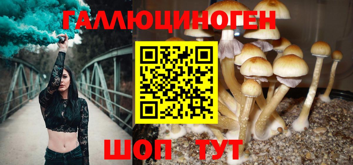 Псилоцибиновые грибы GOLDEN TEACHER Благовещенск