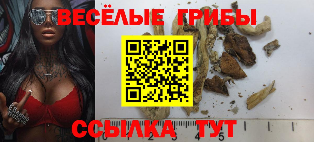 Благовещенск  что такое наркотик  Вход с VPN  Псилоцибиновые грибы MAGIC MUSHROOMS 